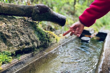 Brunnen | © Patricia Pritz Ein Kind hält den Finger unter einen Wasserstrahl, der aus einem vermoosten Holzbrunnen inmitten der Natur fließt. | © Patricia Pritz