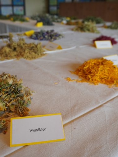 Bergteezeit im Großen Walsertal | © Dajana Baumgartner