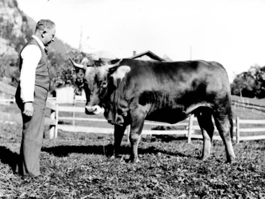 © Alpenregion Bludenz Tourismus