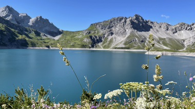 © Dajana Baumgartner