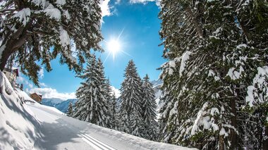 © Huber Images – Karl Rudolf Huber